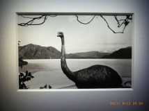 www.diary.mathieuroquigny.com