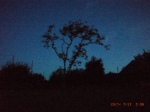 www.diary.mathieuroquigny.com