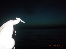 www.diary.mathieuroquigny.com