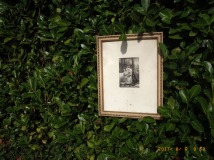 www.diary.mathieuroquigny.com