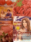 www.diary.mathieuroquigny.com