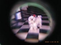 G0075488