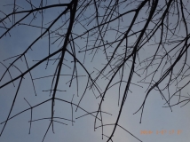 G0075505
