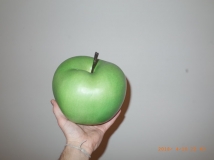 G0076481