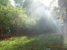 G0079238