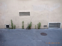 www.diary.mathieuroquigny.com