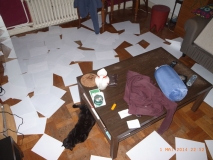 www.diary.mathieuroquigny.com