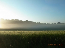 www.diary.mathieuroquigny.com