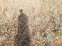 www.diary.mathieuroquigny.com