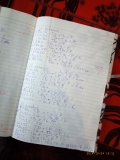 www.diary.mathieuroquigny.com