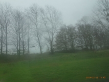 www.diary.mathieuroquigny.com