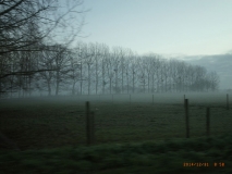 www.diary.mathieuroquigny.com