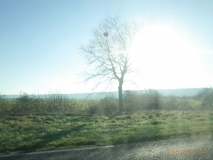 www.diary.mathieuroquigny.com