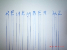 www.diary.mathieuroquigny.com