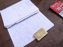 www.diary.mathieuroquigny.com