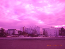 www.diary.mathieuroquigny.com