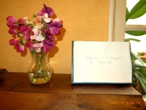 www.diary.mathieuroquigny.com