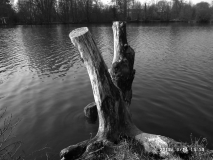 www.diary.mathieuroquigny.com