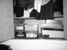 www.diary.mathieuroquigny.com
