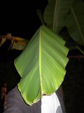 R1068933