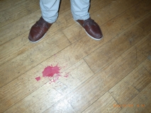 www.diary.mathieuroquigny.com
