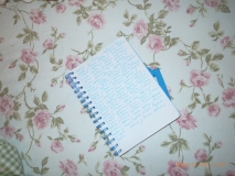 www.diary.mathieuroquigny.com