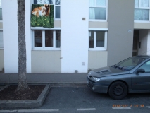 www.diary.mathieuroquigny.com