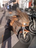 R1250295