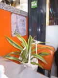 R1250579