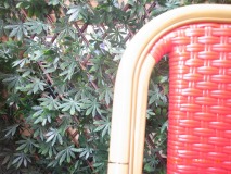 R1253320