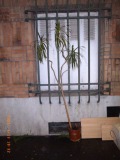 R1254815