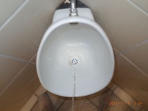 www.diary.mathieuroquigny.com