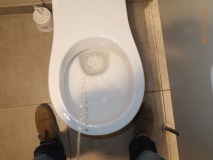 00000061