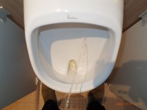 00000231