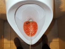 00000319