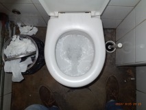 00263919