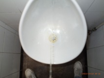 00270186