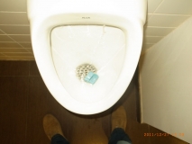 Exif_JPEG_PICTURE