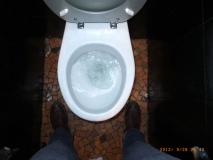 www.diary.mathieuroquigny.com