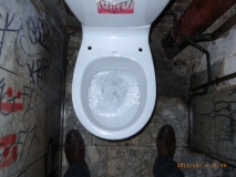www.diary.mathieuroquigny.com