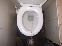 R1259946