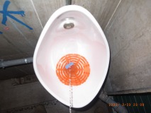 R1259949