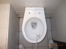 R1260363