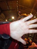 www.diary.mathieuroquigny.com