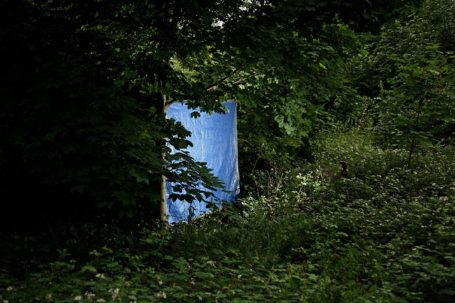 BW15 BW15